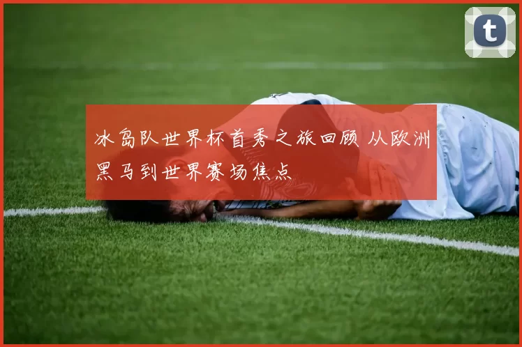 冰岛队世界杯首秀之旅回顾 从欧洲黑马到世界赛场焦点