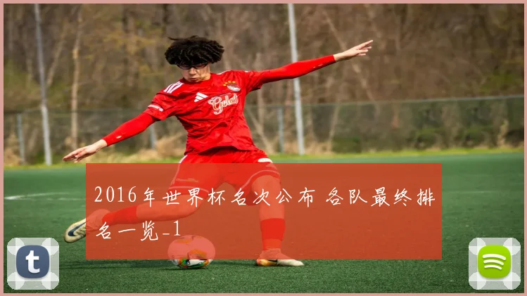 2016年世界杯名次公布 各队最终排名一览_1