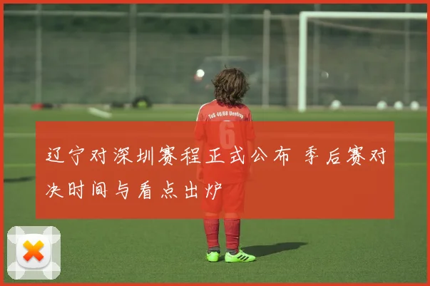辽宁对深圳赛程正式公布 季后赛对决时间与看点出炉