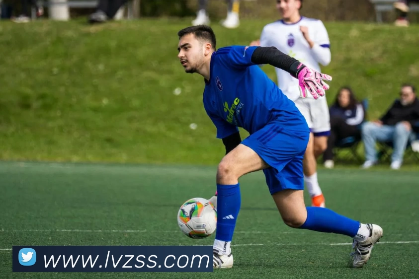 MK体育·(国际)官方网站 - mksport平台生态图